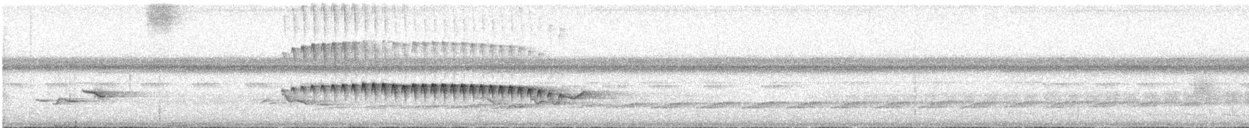 Dreibinden-Ameisenvogel - ML614792081