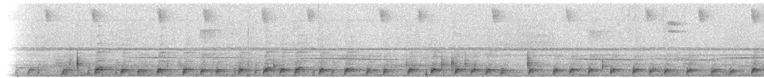 Band-tailed Guan - ML614792752