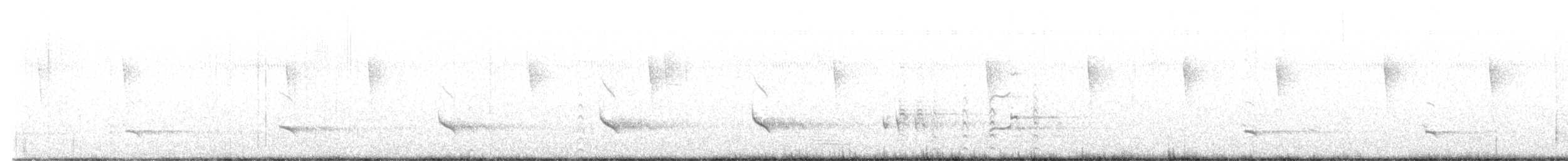 Fischadler (carolinensis) - ML614793015