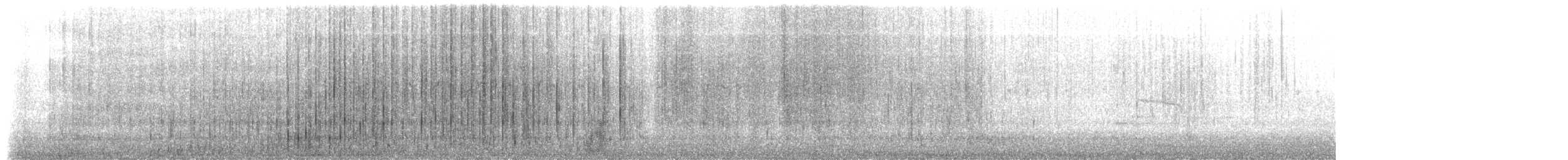 Smergo minore - ML614793889