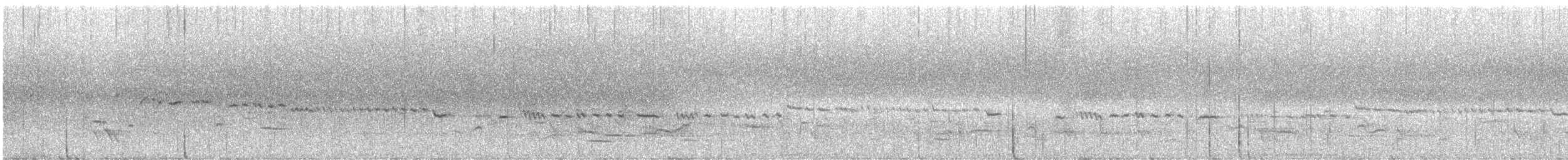 Gérygone de Nouvelle-Zélande - ML614794938