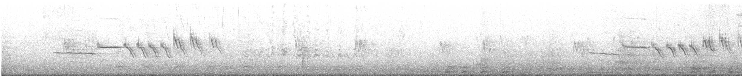 Bruant à couronne blanche (nuttalli/pugetensis) - ML614799365