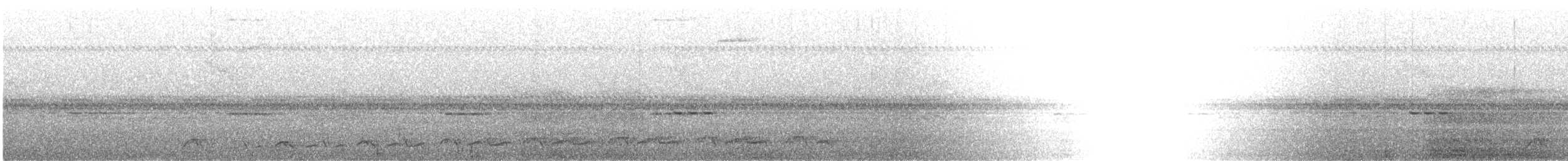 Lyre-tailed Nightjar - ML614799728