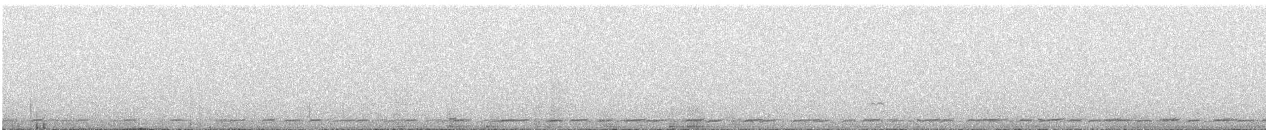 Graubrust-Höhenläufer - ML614799907