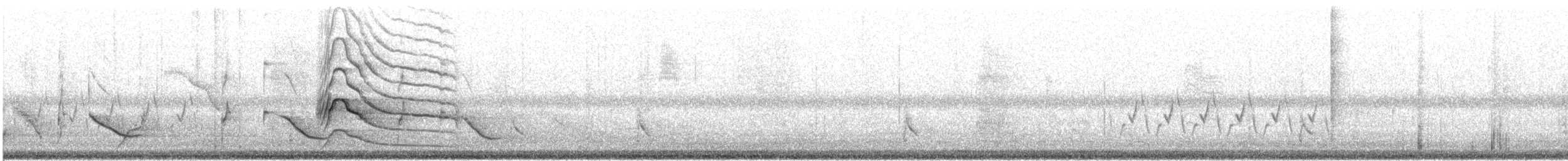 Канюк великодзьобий [група magnirostris] - ML614800260