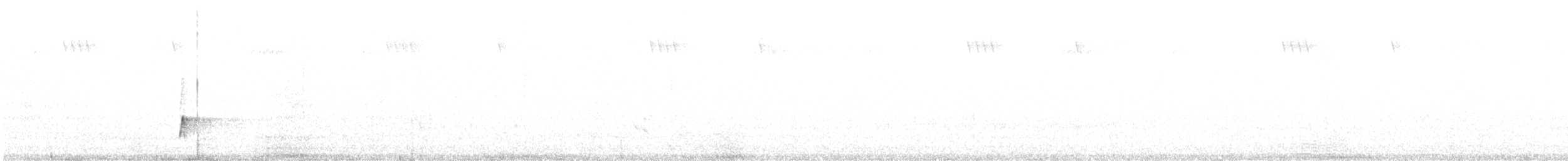 Méliphage à boucle blanche - ML614802065