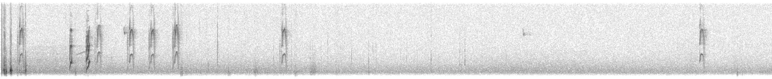 Streifenbauch-Tachurityrann - ML614802413