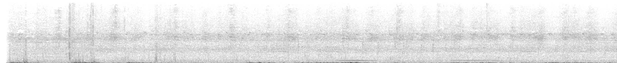 holub bledočelý - ML614802512
