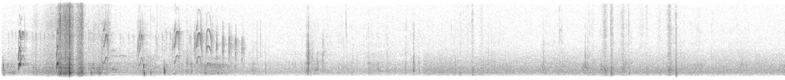 Streifenbauch-Tachurityrann - ML614803003