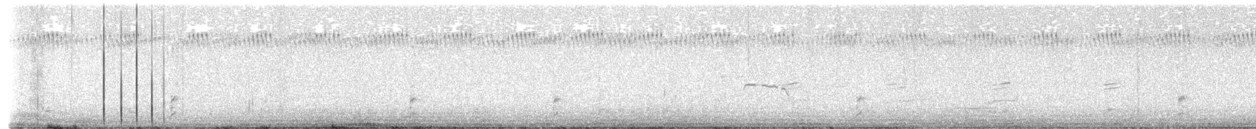 Spotless Crake - ML614805773