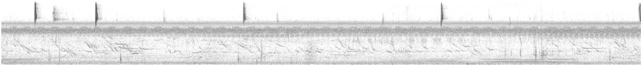 Sicale des savanes (groupe chrysops) - ML614806497