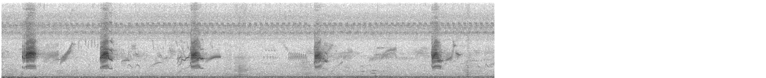 Long-tailed Shrike - ML614809063