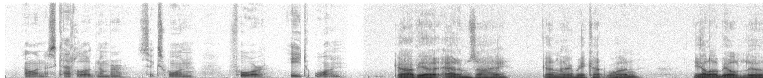 Gelbschnabeltaucher - ML61481