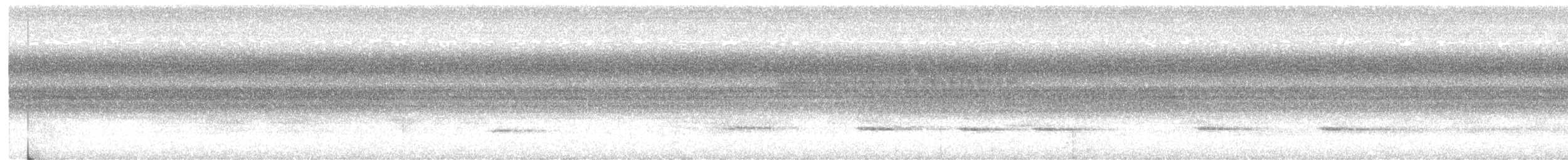 Усатый шипоклюв - ML614811918