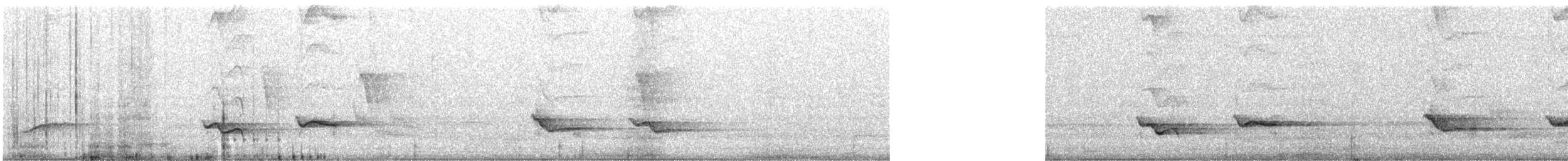 Méliphage à boucle blanche - ML614812022