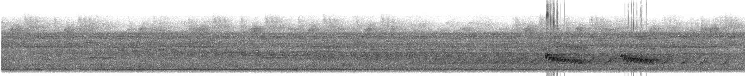 Long-tailed Woodcreeper - ML614813530