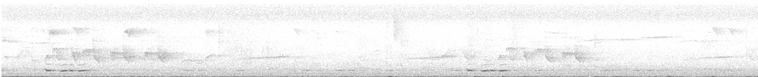 White-browed Scimitar-Babbler - ML614814246