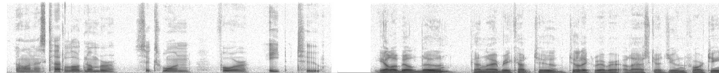 Gelbschnabeltaucher - ML61482