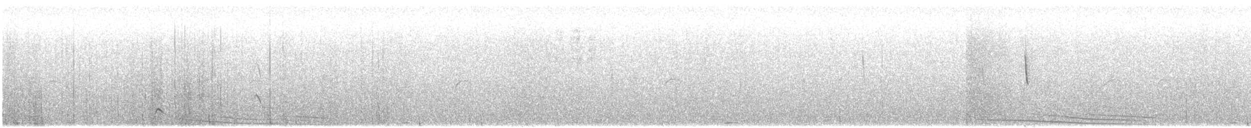 Tinamou élégant - ML614822190