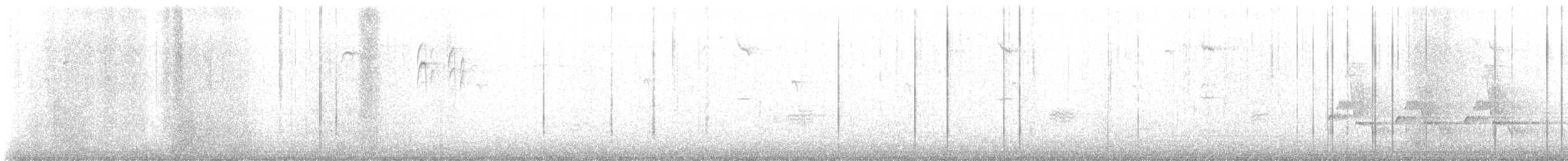 Каролинский крапивник - ML614824308