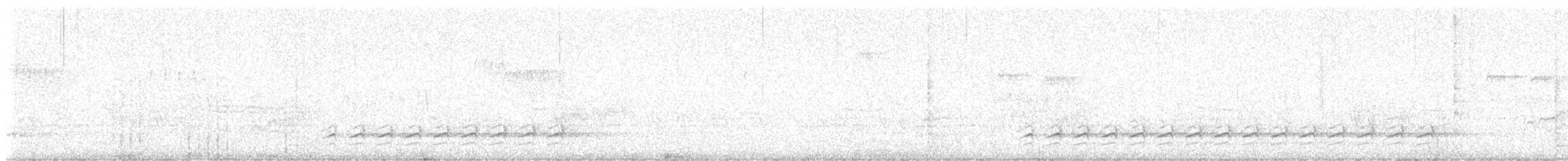 Beyaz Göğüslü Sıvacı (carolinensis) - ML614831157