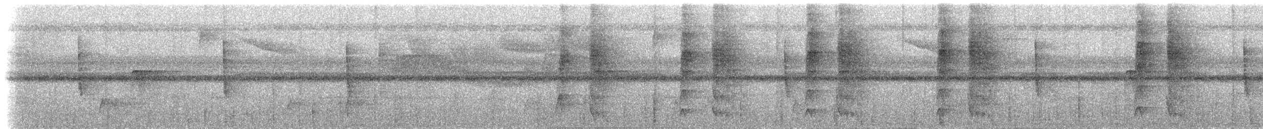 Тиран-інка андійський (підвид superciliaris) - ML614835804