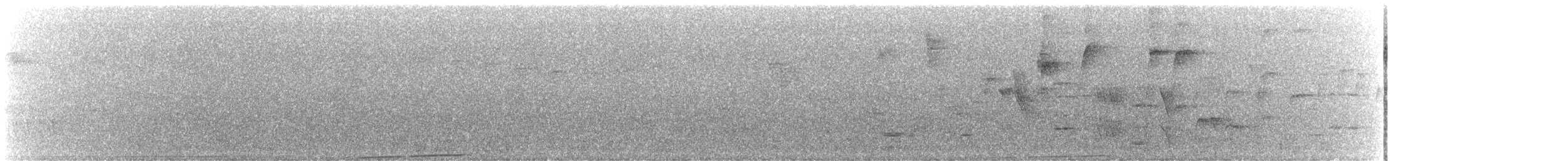 holub maorský - ML614836048