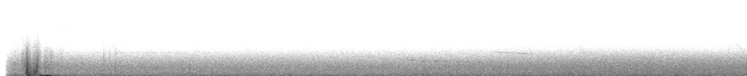 White-fronted Quail-Dove - ML614836445