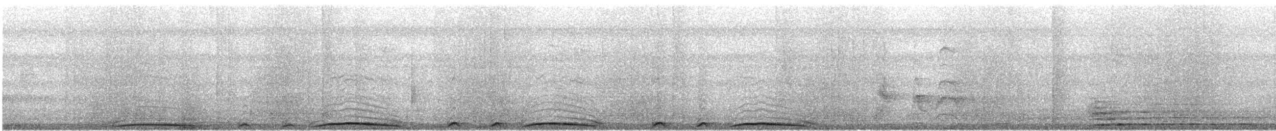 holub neotropický - ML614837713