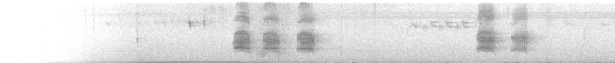 Antillenkönigstyrann - ML614840202