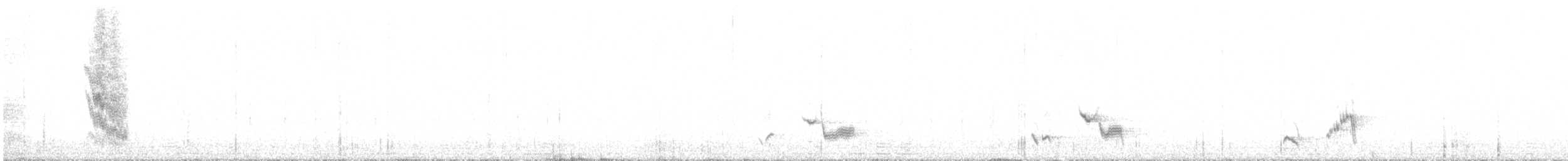 Sinsonte de Isla Socorro - ML614840410