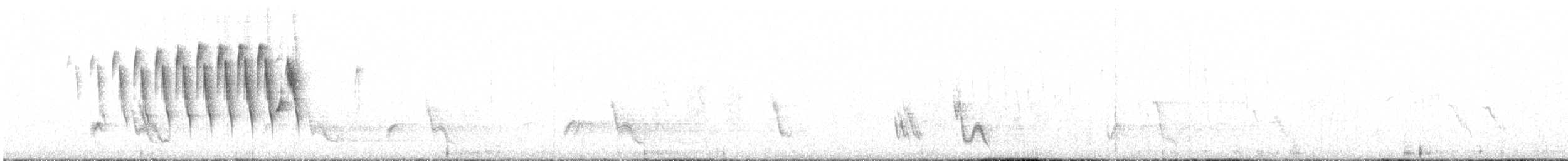 Parula Pitiayumí (graysoni) - ML614840730