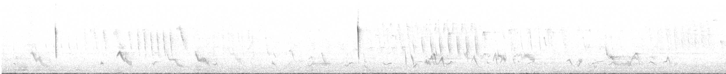 Tropical Parula (Socorro I.) - ML614841065