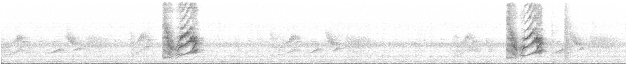 Spotted Towhee (Socorro) - ML614841213