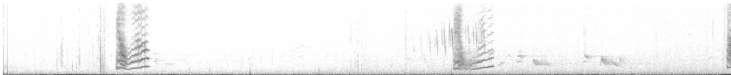 Spotted Towhee (Socorro) - ML614841656