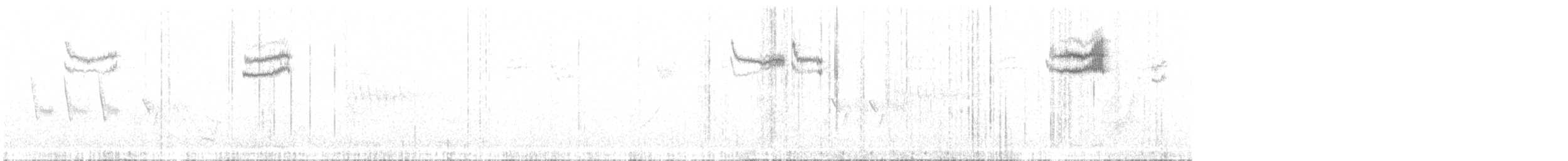 Spotted Towhee (Socorro) - ML614841658