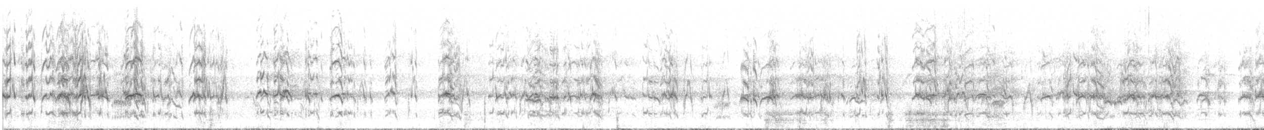 Socorro Parakeet - ML614841895