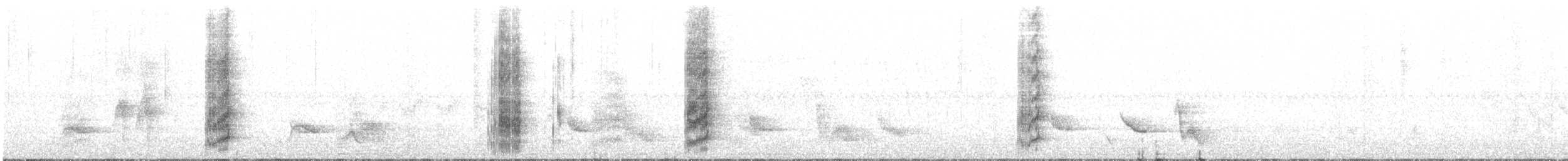 Socorro Parakeet - ML614841897