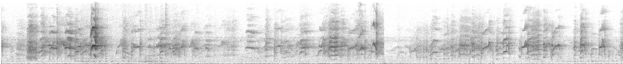 Socorro Parakeet - ML614841903