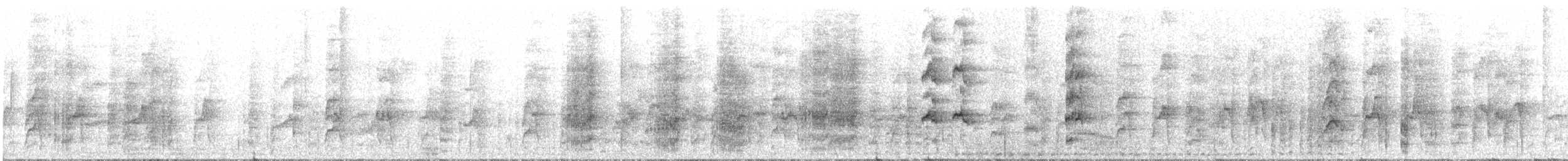 Socorro Parakeet - ML614841911