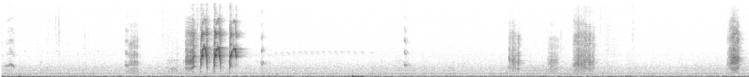 Socorro Parakeet - ML614841912