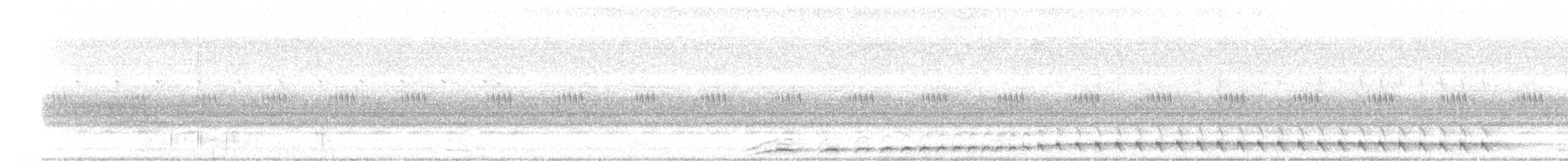 lelek bělohrdlý - ML614844325