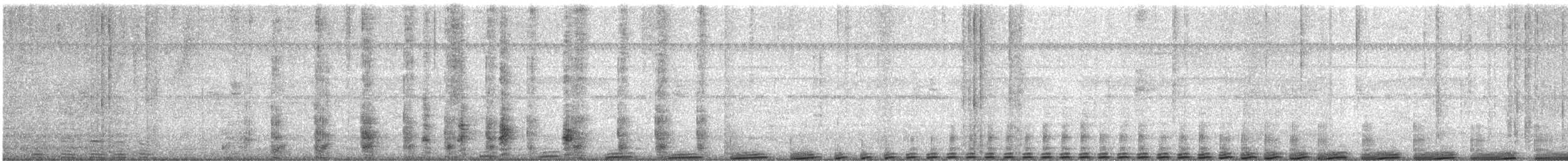 gråvingetrompetfugl - ML614847337