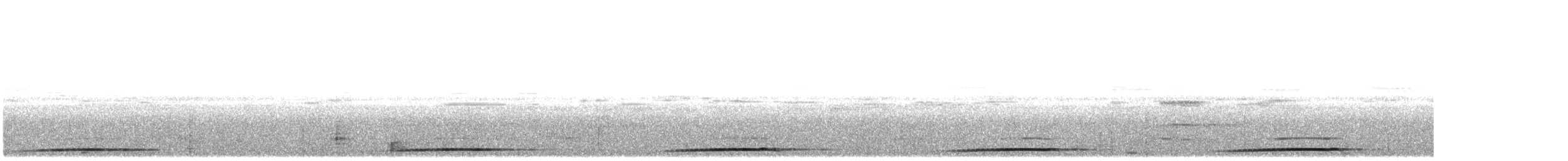 Puntarenas Screech-Owl (undescribed form) - ML614849560
