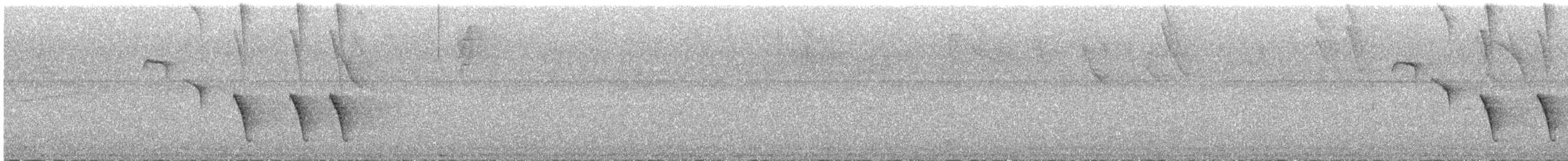 Белоухий крапивник - ML614850436