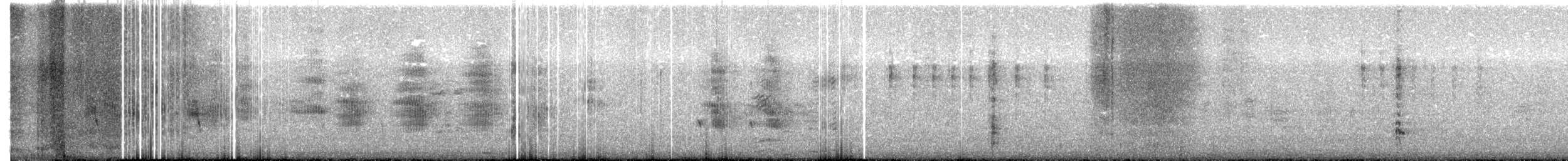 Quiscale des marais - ML614856163