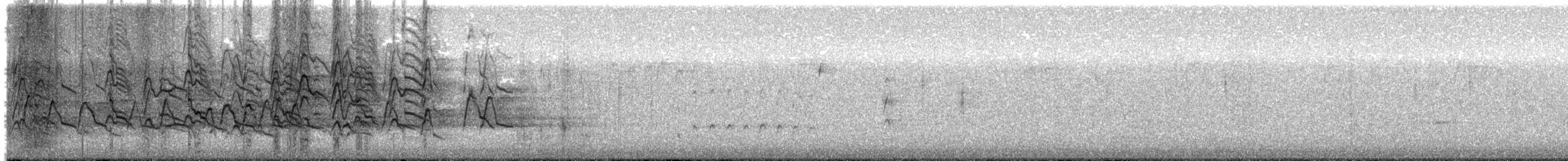 Kara Karınlı Islıkçı Ördek - ML614856235