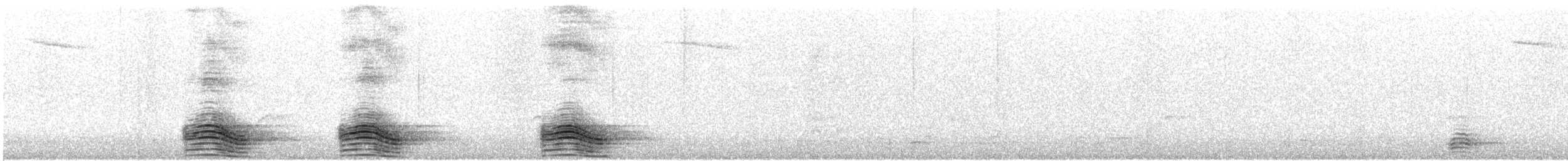 巨嘴鴉(macrorhynchos群) - ML614862154
