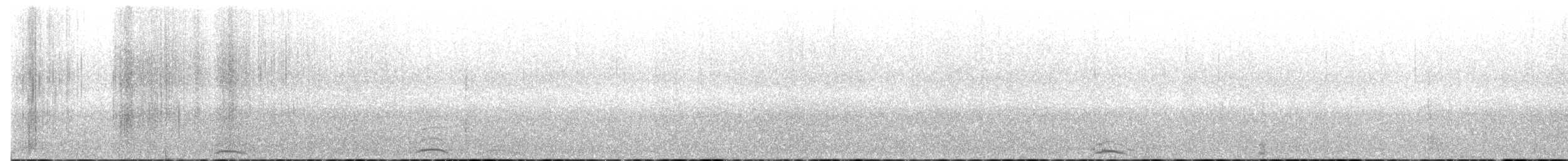 Cygne siffleur - ML614863299