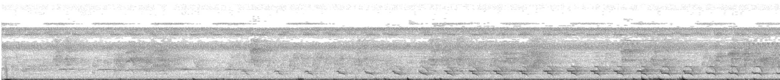Black-tailed Trogon - ML614865202